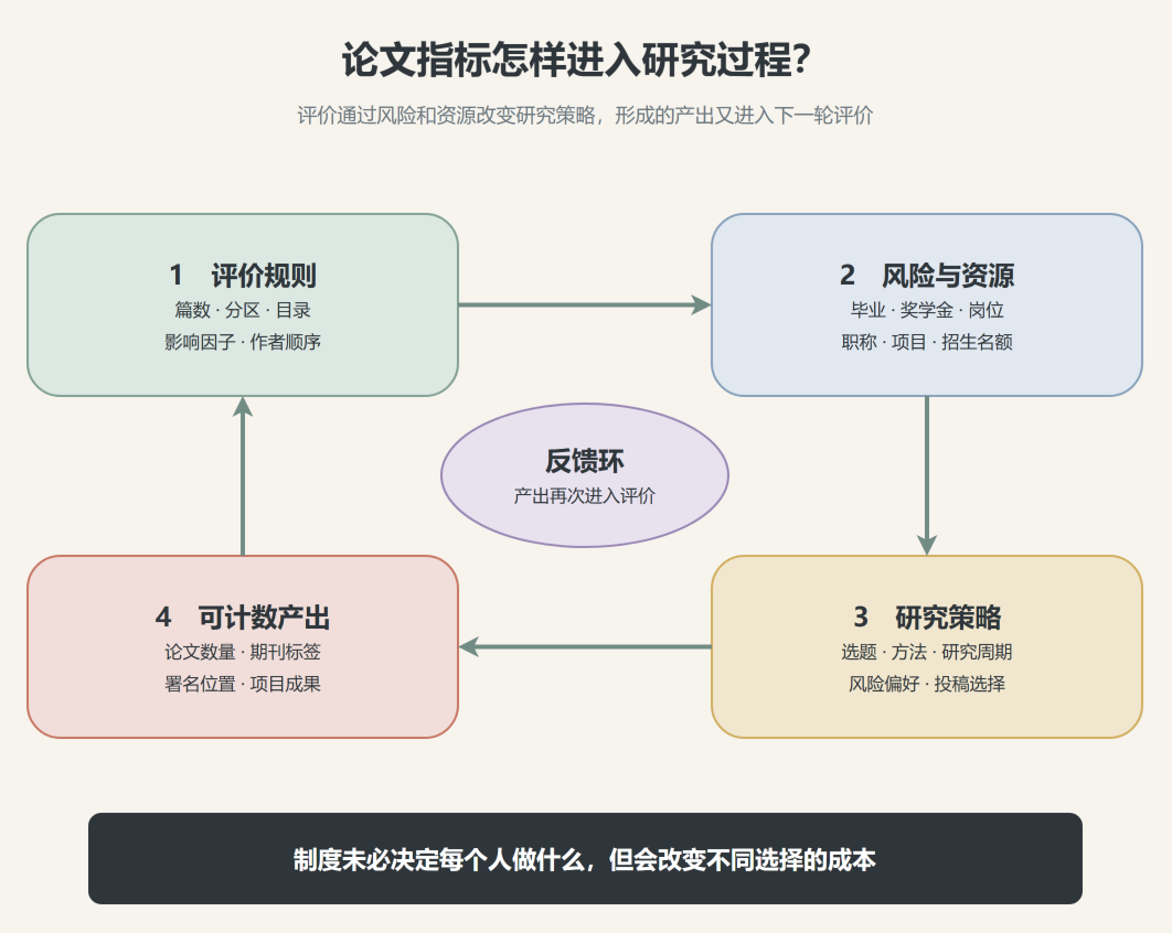 图2:论文指标的传导与反馈环