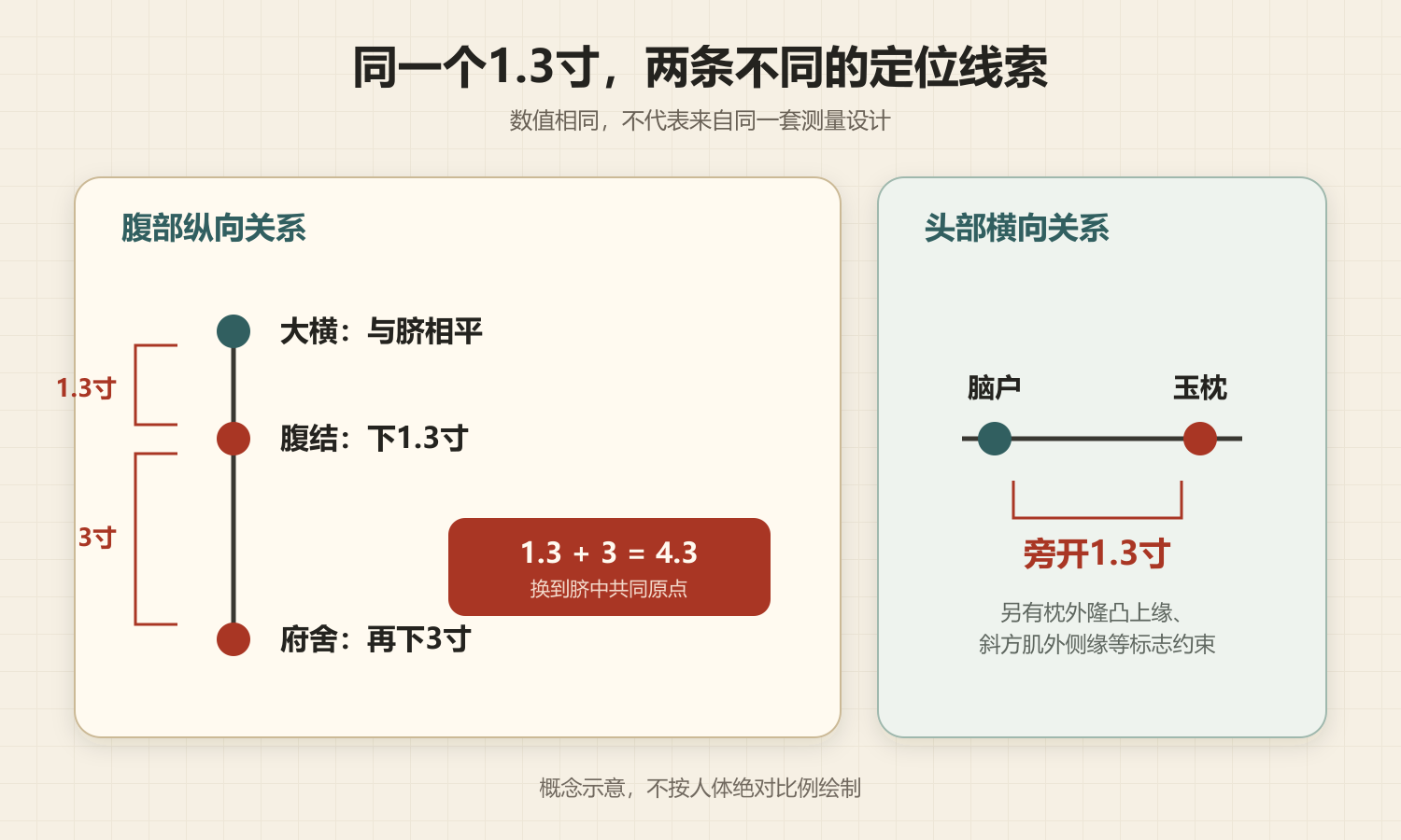 腹结、府舍与玉枕的1.3寸和4.3寸关系示意