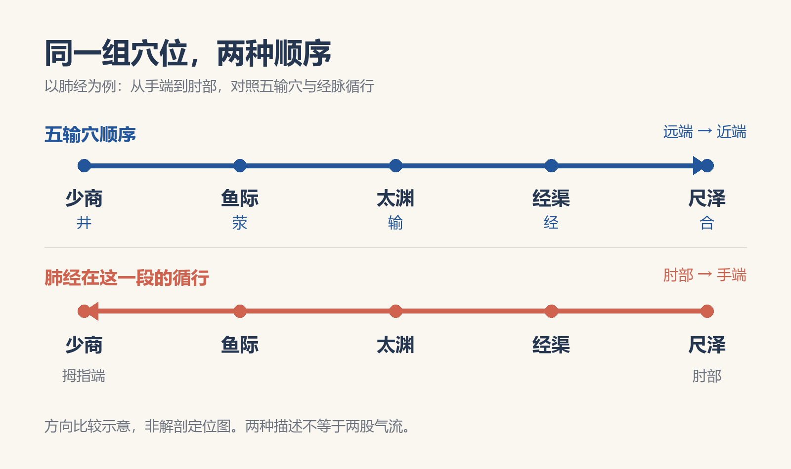 肺经五输穴顺序与同段经脉循行方向对照