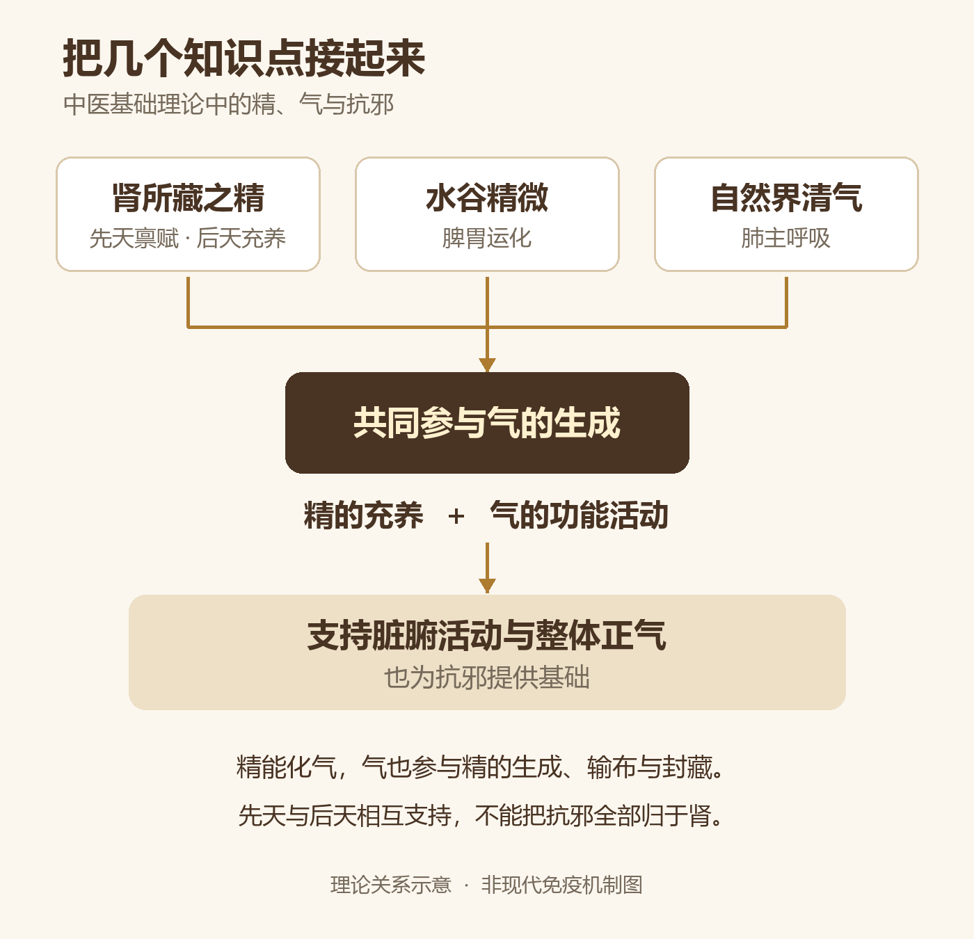 精、气与抗邪的理论关系示意